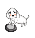 Adorable Pets（個別スタンプ：4）