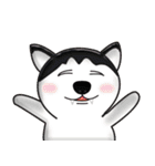 Adorable Pets（個別スタンプ：29）