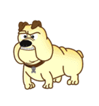 Adorable Pets（個別スタンプ：33）
