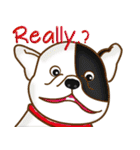Adorable Pets（個別スタンプ：40）