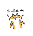 Shiba Inu NN（個別スタンプ：5）