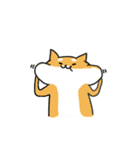 Shiba Inu NN（個別スタンプ：6）