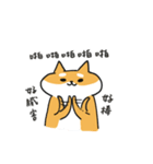 Shiba Inu NN（個別スタンプ：8）