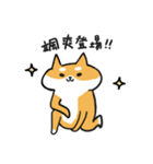 Shiba Inu NN（個別スタンプ：13）