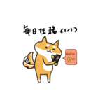 Shiba Inu NN（個別スタンプ：20）