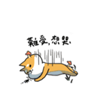 Shiba Inu NN（個別スタンプ：22）