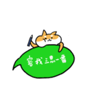 Shiba Inu NN（個別スタンプ：27）