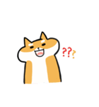 Shiba Inu NN（個別スタンプ：31）