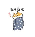 Shiba Inu NN（個別スタンプ：40）
