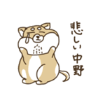 柴犬 ひげしば 中野さん（個別スタンプ：35）