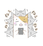 糸目のねこちゃん（個別スタンプ：24）