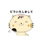 顔デカねこスタ ゆる語編（個別スタンプ：24）