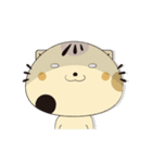 顔デカねこスタ ゆる語編（個別スタンプ：30）