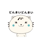 顔デカねこスタ ゆる語編（個別スタンプ：38）