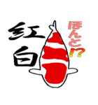 錦鯉のスタンプ（個別スタンプ：1）