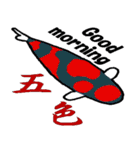 錦鯉のスタンプ（個別スタンプ：21）
