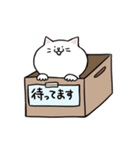 だいたい笑顔ねこ（個別スタンプ：17）