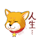 柴犬の日日（個別スタンプ：1）