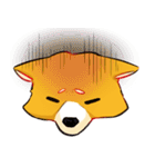 柴犬の日日（個別スタンプ：3）