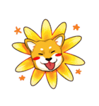 柴犬の日日（個別スタンプ：5）