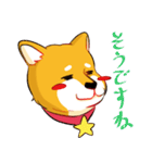 柴犬の日日（個別スタンプ：9）
