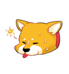 柴犬の日日（個別スタンプ：23）