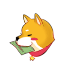 柴犬の日日（個別スタンプ：31）