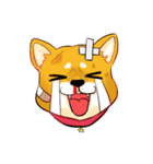 柴犬の日日（個別スタンプ：35）