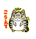 たまニャ（個別スタンプ：3）