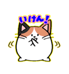 たまニャ（個別スタンプ：5）