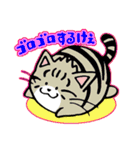 たまニャ（個別スタンプ：12）