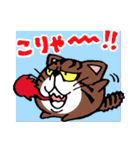 たまニャ（個別スタンプ：16）
