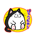 たまニャ（個別スタンプ：24）