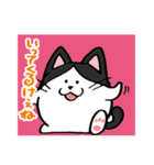 たまニャ（個別スタンプ：27）