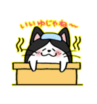 たまニャ（個別スタンプ：31）
