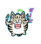 たまニャ（個別スタンプ：36）