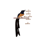 Binhla（個別スタンプ：1）