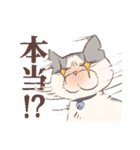 ステラちゃんと本部長スタンプ（個別スタンプ：11）