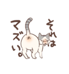 ステラちゃんと本部長スタンプ（個別スタンプ：16）
