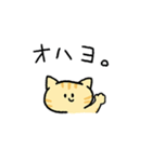 MIX猫 茶トラ【ねこのきもち】（個別スタンプ：2）
