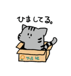 MIX猫 サバトラ【ねこのきもち】（個別スタンプ：3）