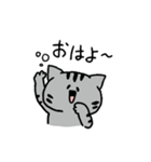 MIX猫 サバトラ【ねこのきもち】（個別スタンプ：9）