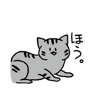 MIX猫 サバトラ【ねこのきもち】（個別スタンプ：12）