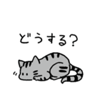 MIX猫 サバトラ【ねこのきもち】（個別スタンプ：15）