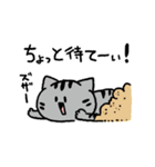 MIX猫 サバトラ【ねこのきもち】（個別スタンプ：21）
