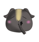 Cavy+Hamster（個別スタンプ：14）