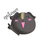 Cavy+Hamster（個別スタンプ：15）