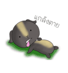 Cavy+Hamster（個別スタンプ：21）