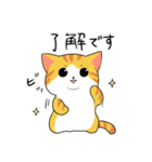 マンチカン【ねこのきもち】（個別スタンプ：17）