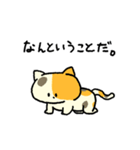 MIX猫 ミケ【ねこのきもち】（個別スタンプ：11）
